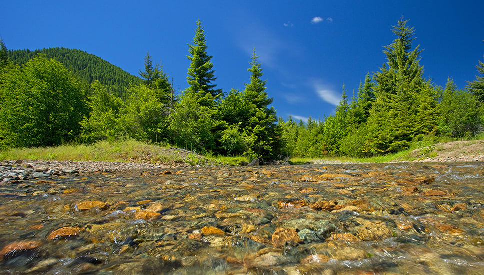 bigsheepcreek Western Rivers Conservancy